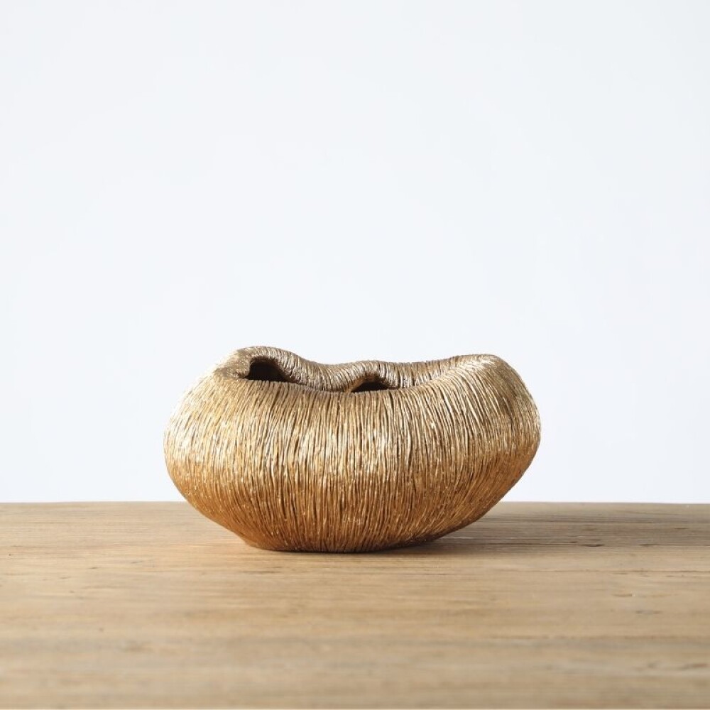 Portobello Pequeño Portobello Pequeño