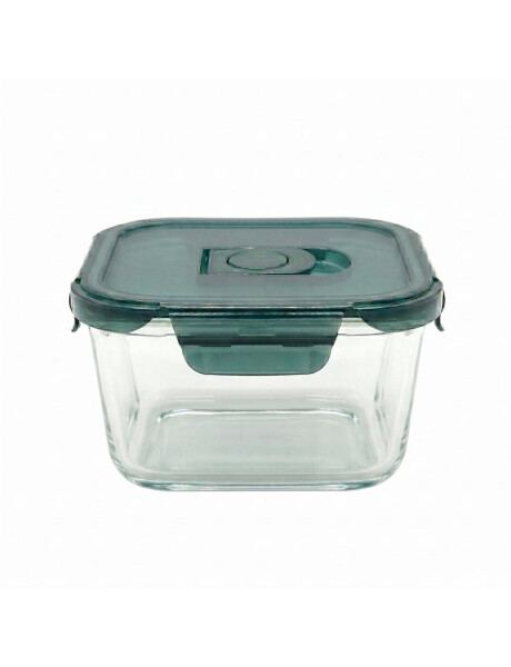 RECIPIENTE REDONDO BOROSILICATO 620ML D16XH7CM RECIPIENTE REDONDO BOROSILICATO 620ML D16XH7CM