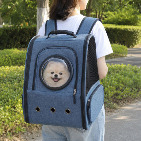 Mochila Transportadora De Mascotas Capsula + Rejilla + Base Azul