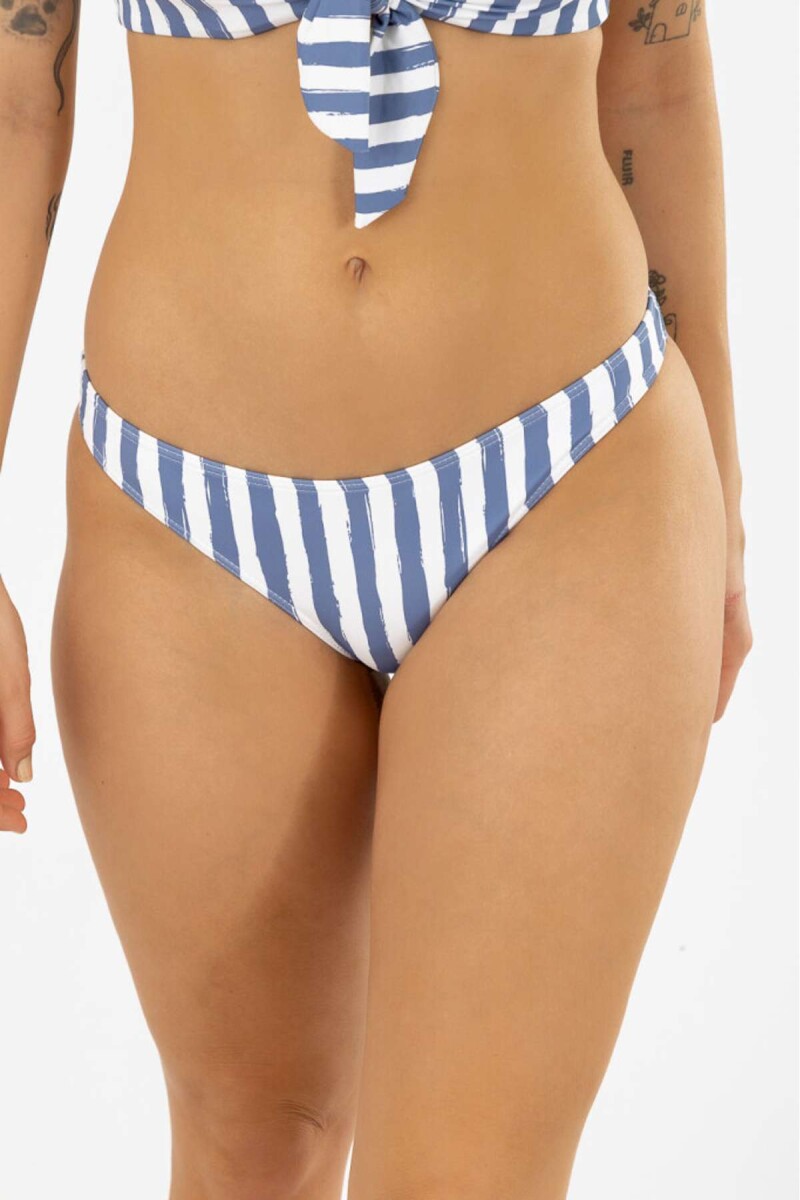 Vedetina basica est - Marine stripes 