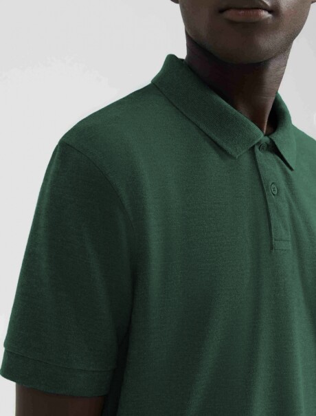 POLO BÁSICA VERDE
