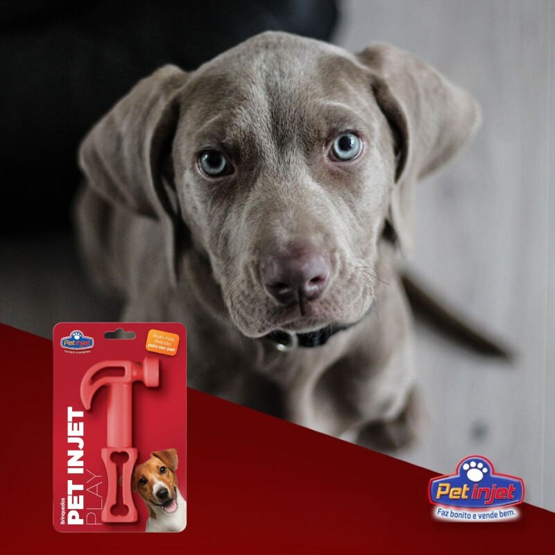 MARTILLO GOMA PET INJET PLAY MARTILLO GOMA PET INJET PLAY