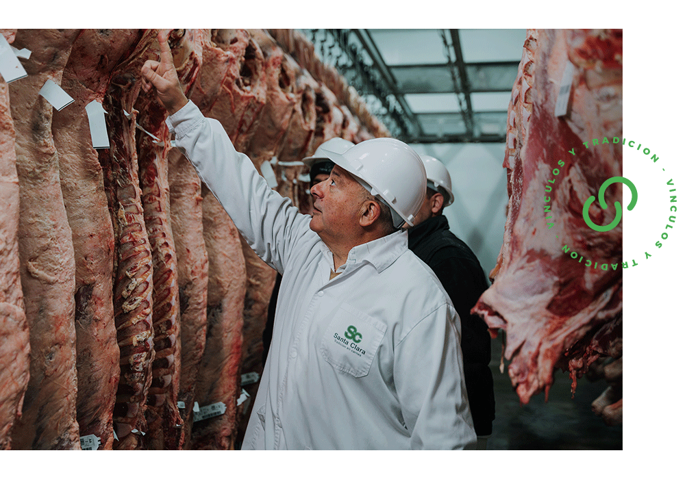 tradicion - imagen