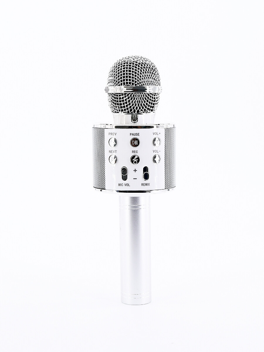 MICROFONO USB - PLATEADO 