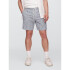 V-6IN SWIM TRUNK BLUE STRIPE