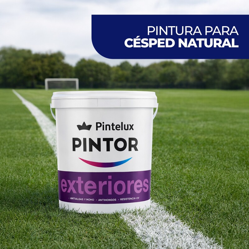 PINTURA PARA DEMARCACION DE CANCHAS BLANCO 18LTS N/A