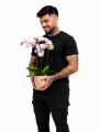 ORQUÍDEA MINI CON MACETA ROSA