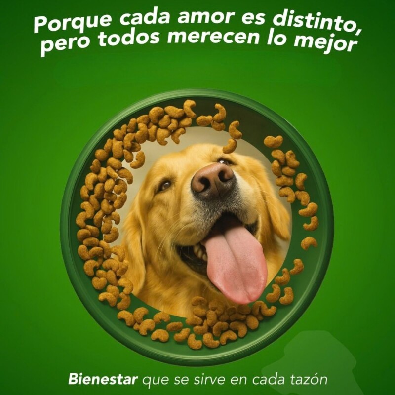 GOLDEN NATURAL PERRO CACHORRO RAZA PEQUEÑA 10.1 KGS GOLDEN NATURAL PERRO CACHORRO RAZA PEQUEÑA 10.1 KGS
