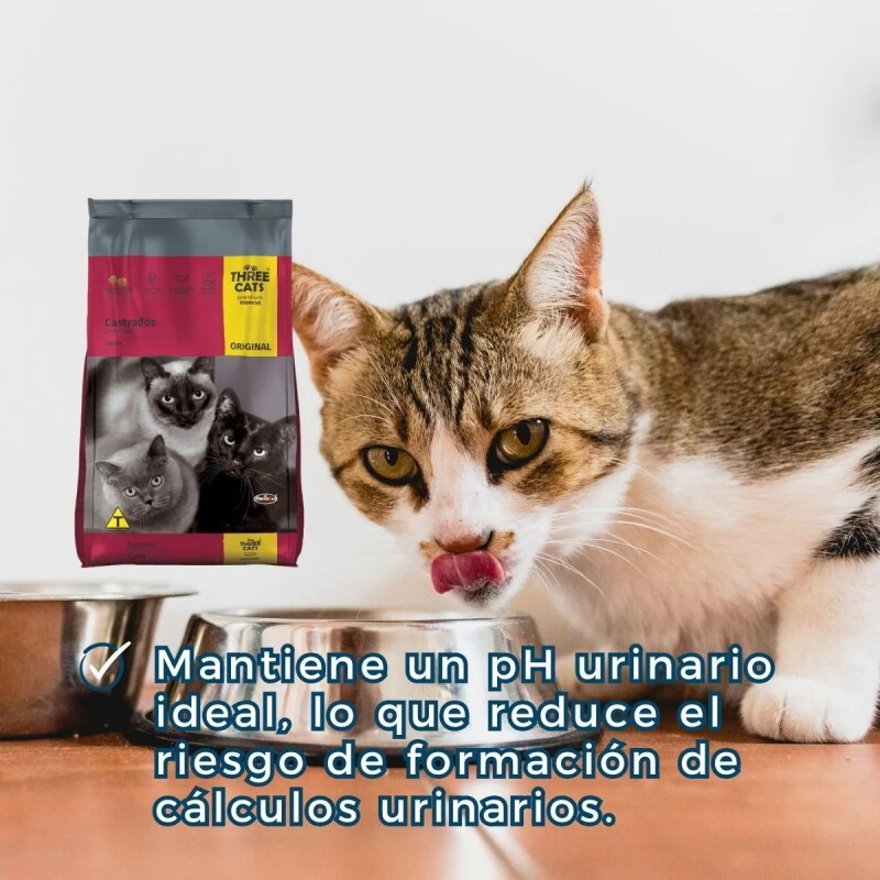 THREE CATS CASTRADOS 10,1 KILOS + RATÓN EQUILIBRISTA + 1KG DE REGALO