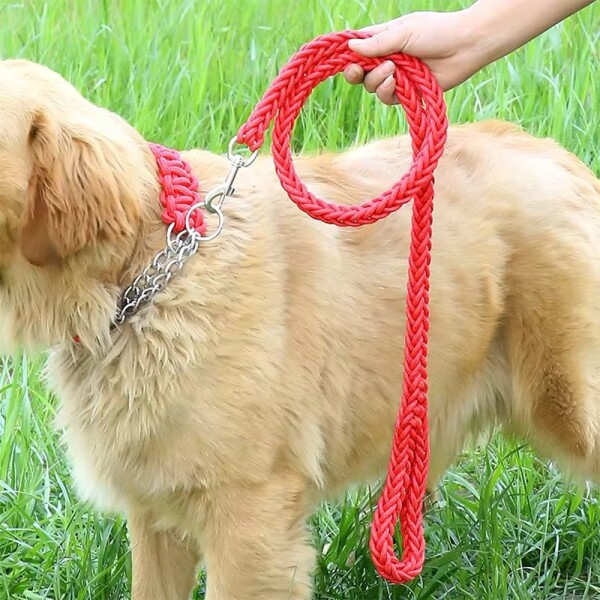 Correa Collar Reforzado Perros Semi Ahorque Cuerda Trenzada Variante Color Rojo