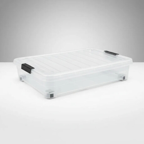 Caja Organizadora Con Ruedas 42 Litros Bajo Cama 60x42x17 Transparente
