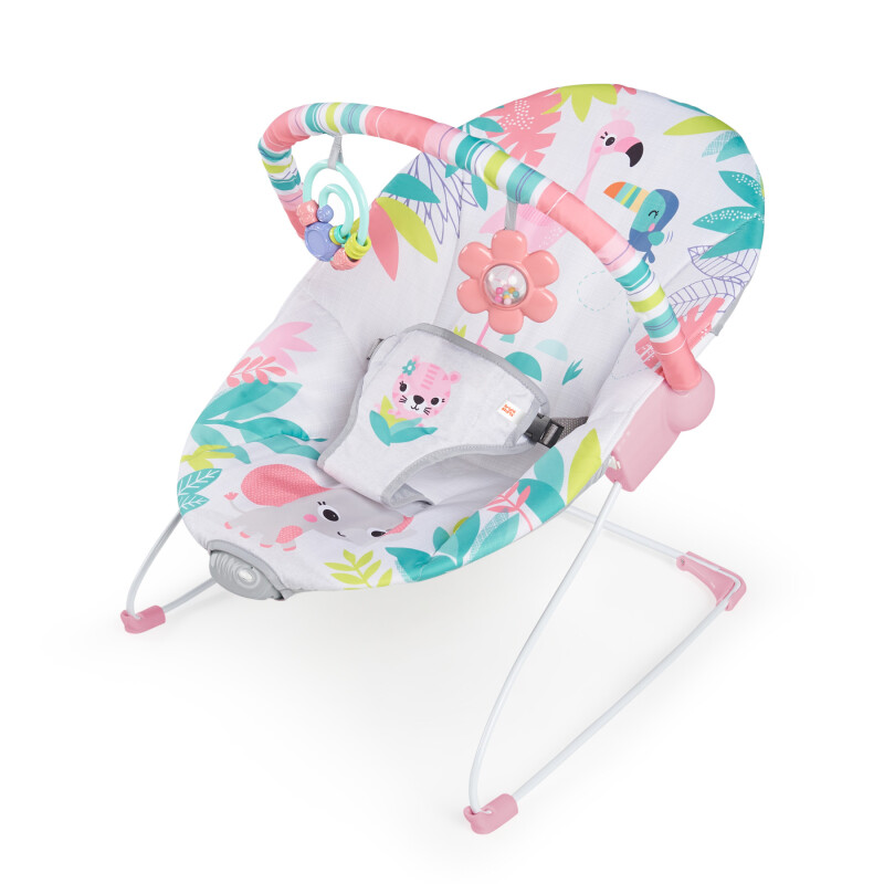 Bouncer FLamingo Vibes Bright Starts Bouncer FLamingo Vibes Bright Starts