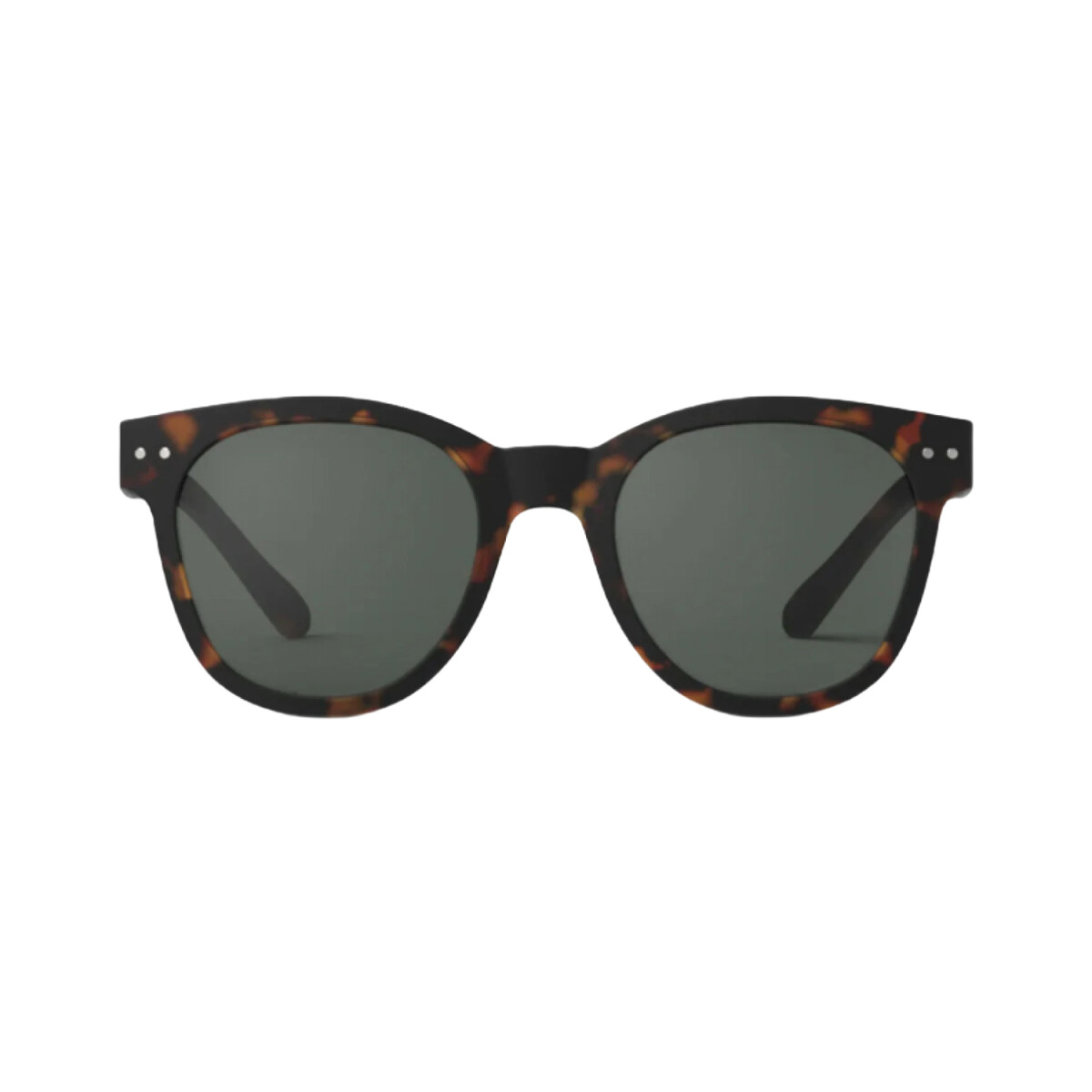 Lentes Izipizi N Sun - Carey 