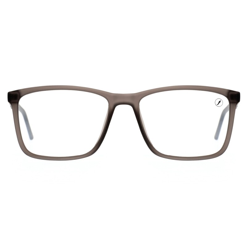 Armazón Chilli Beans Blumenau Gris