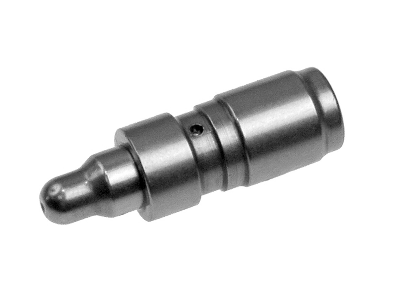 Botador 