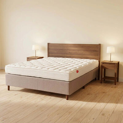 IVORY PLUS