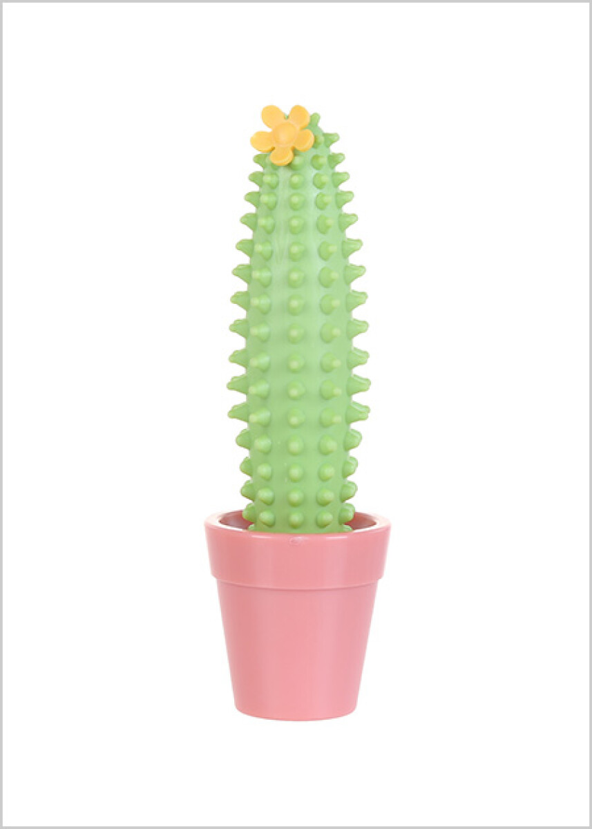 Masajeador cactus 