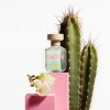 Benetton Green Cactus (Ladies) Eau de Toilette 80ml - Femenino