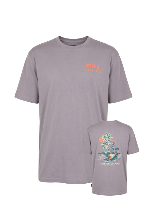 Remera O'Neill Oceanside Gris