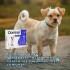 PIPETA ANTIPULGAS Y GARRAPATAS PARA PERROS DOMINAL KONIG DE 5 A 10 KG