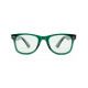 Lentes de Sol Bloom Polarizado PA004 Unisex Verde