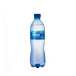 LA FUENTE AGUA S/GAS ENVASE X 600 ML. única