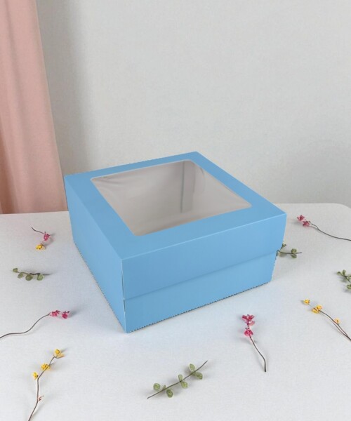 Caja flexi 51 20x20x9,5 c/visor. CELESTE
