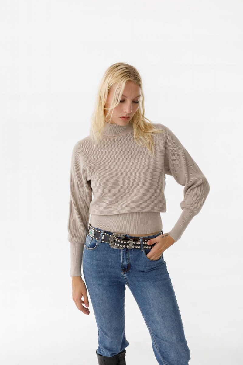 Sweater Polera Petunia Vison