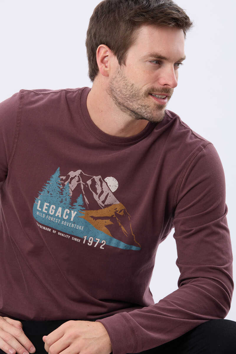 REMERA ESTAMPADA - BORDO 