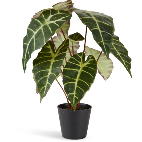 Planta Artificial Marius Ø38Xa42Cm