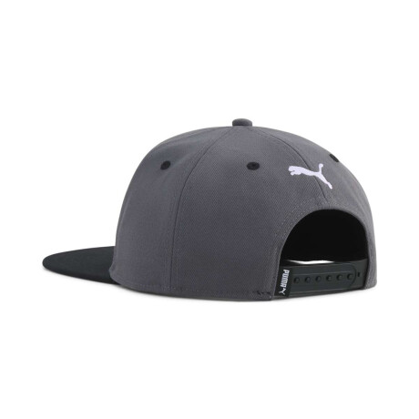Gorra Ess No.1 Logo Flat Brim Unisex Gris