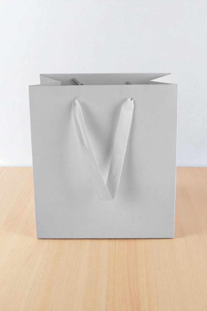 Bolsa cartulina eco 18x10x20 cm - BLANCO 