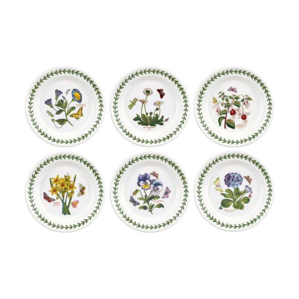 PORTMEIRION BOT GARDEN PLATO PAN 16,5 CM SET x 6 PORTMEIRION BOT GARDEN PLATO PAN 16,5 CM SET x 6
