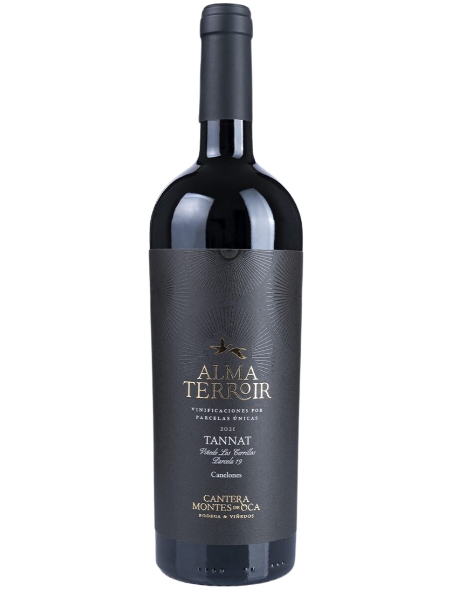 Tannat Alma Terroir Parcela 17 