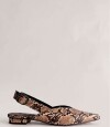 Flat Pili Print 2