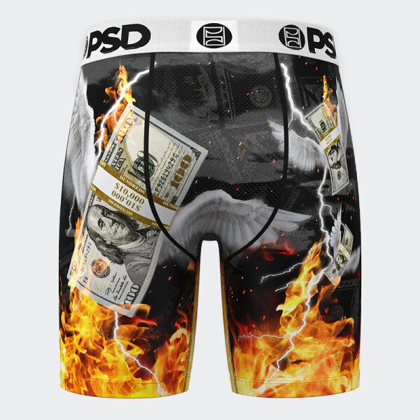 Calzoncillos PSD Fly Money Multicolor
