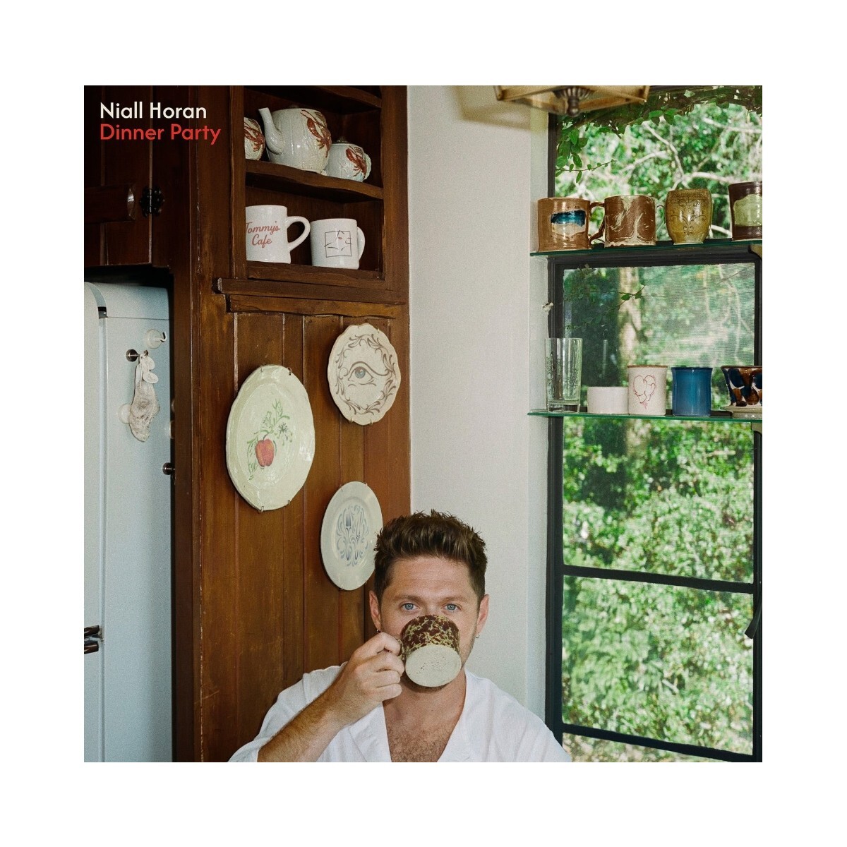 Horan,niall - Dinner Party - Cd 