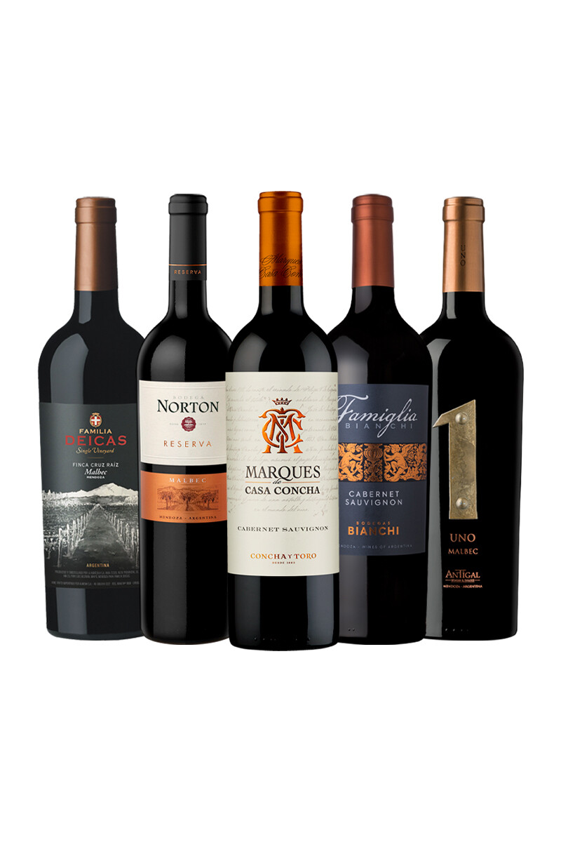 Pack Bacán Momento Pausa x5 vinos Para desconectar 