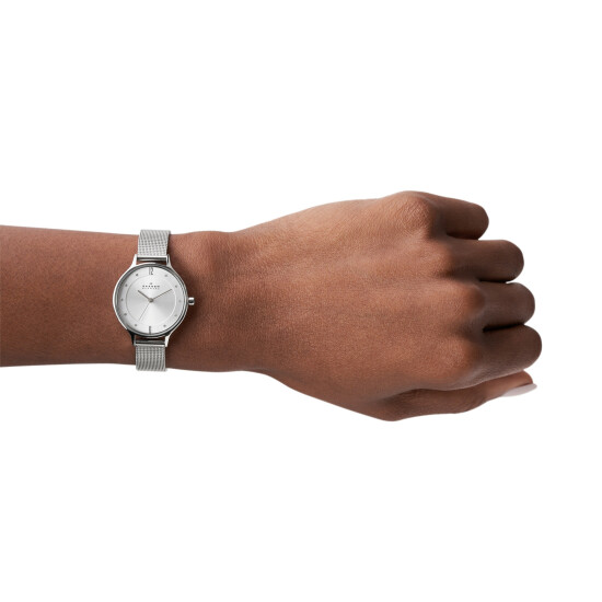 Reloj Skagen Anita Lille Acero Plata SKW2149 0