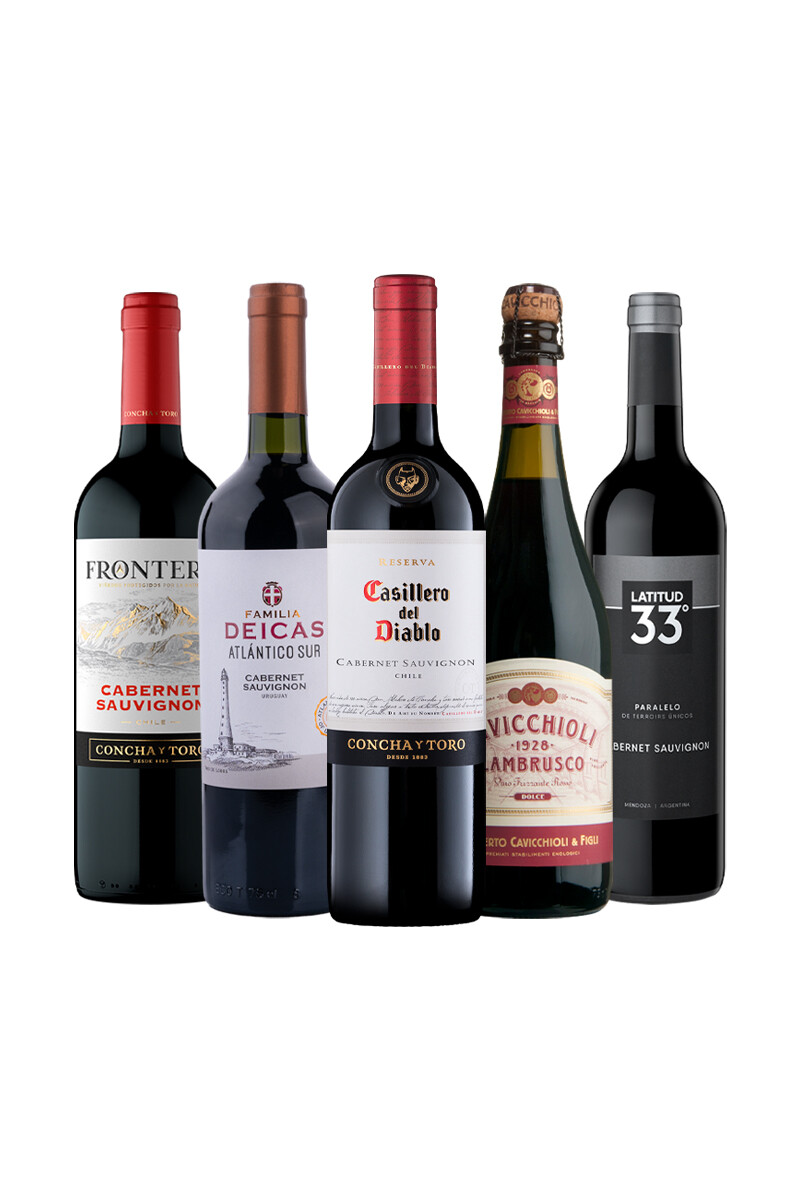 Pack Bacán Selección x5 vinos Recomendados de Julio 