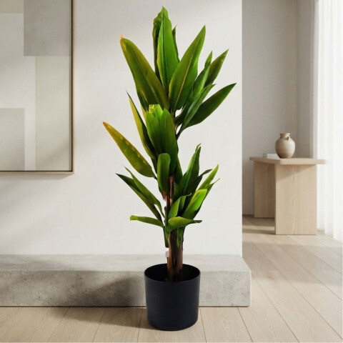 Planta Árbol Bananero 1.7Mts Planta Árbol Bananero 1.7Mts