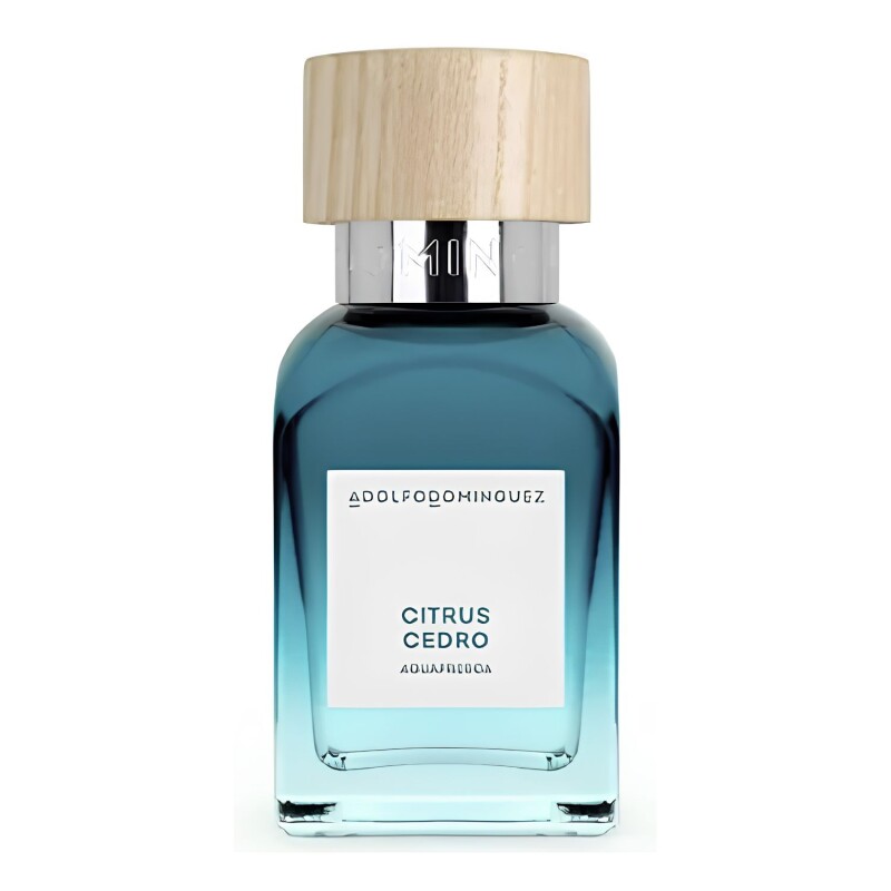 Perfume Adolfo Dominguez Citrus Cedro Hombre EDT 120ml Perfume Adolfo Dominguez Citrus Cedro Hombre EDT 120ml
