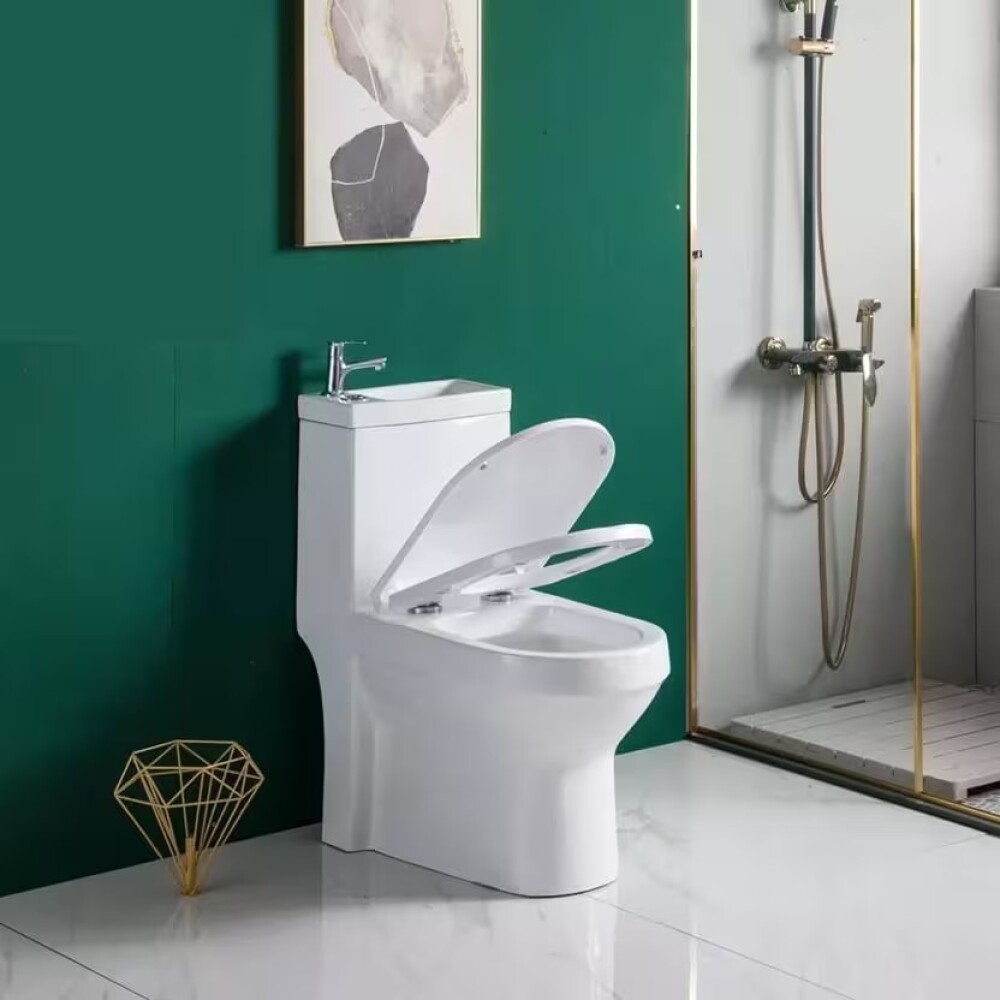 Inodoro Con Mochila Y Lavatorio Integrado Inodoro Con Mochila Y Lavatorio Integrado