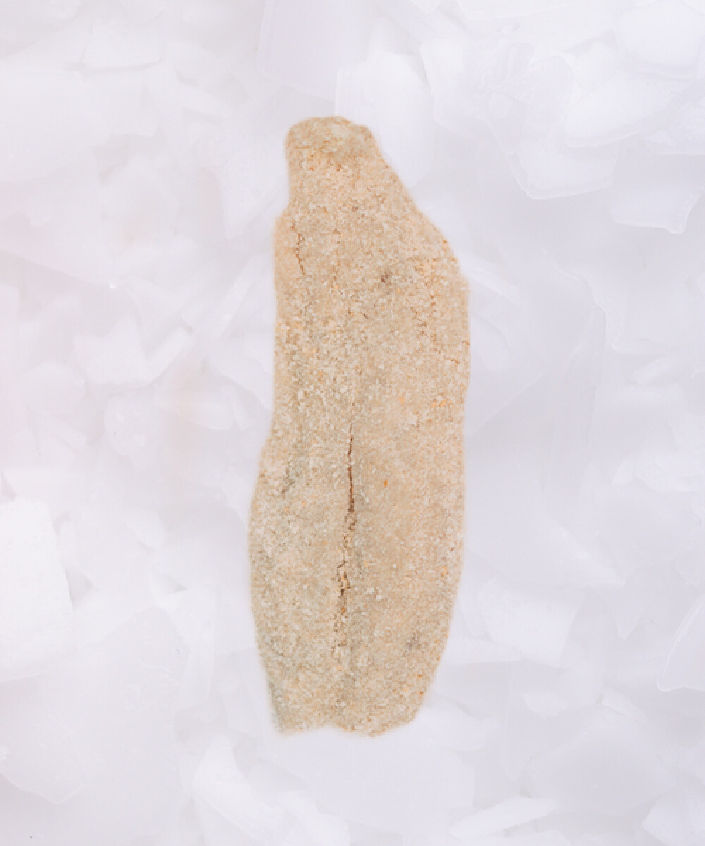 Milanesa de Cazón - 500g 