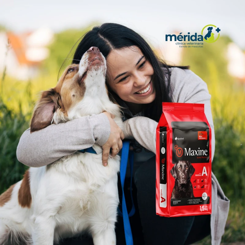 MAXINE PERROS ADULTOS 7,5 KG + PALA PERRITO DE SERVIR DE REGALO