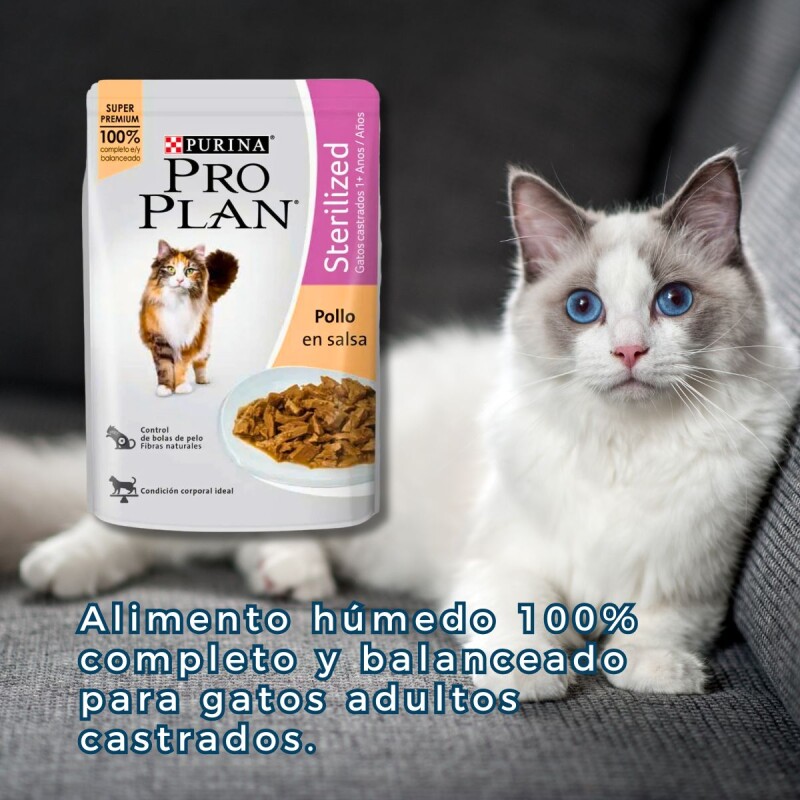 PRO PLAN EN SALSA GATO CASTRADO POLLO 85 GRAMOS PRO PLAN EN SALSA GATO CASTRADO POLLO 85 GRAMOS