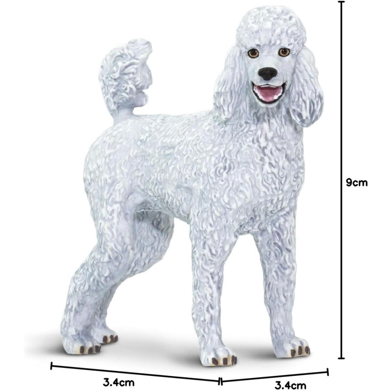 Caniche Safari 100063 Caniche Safari 100063