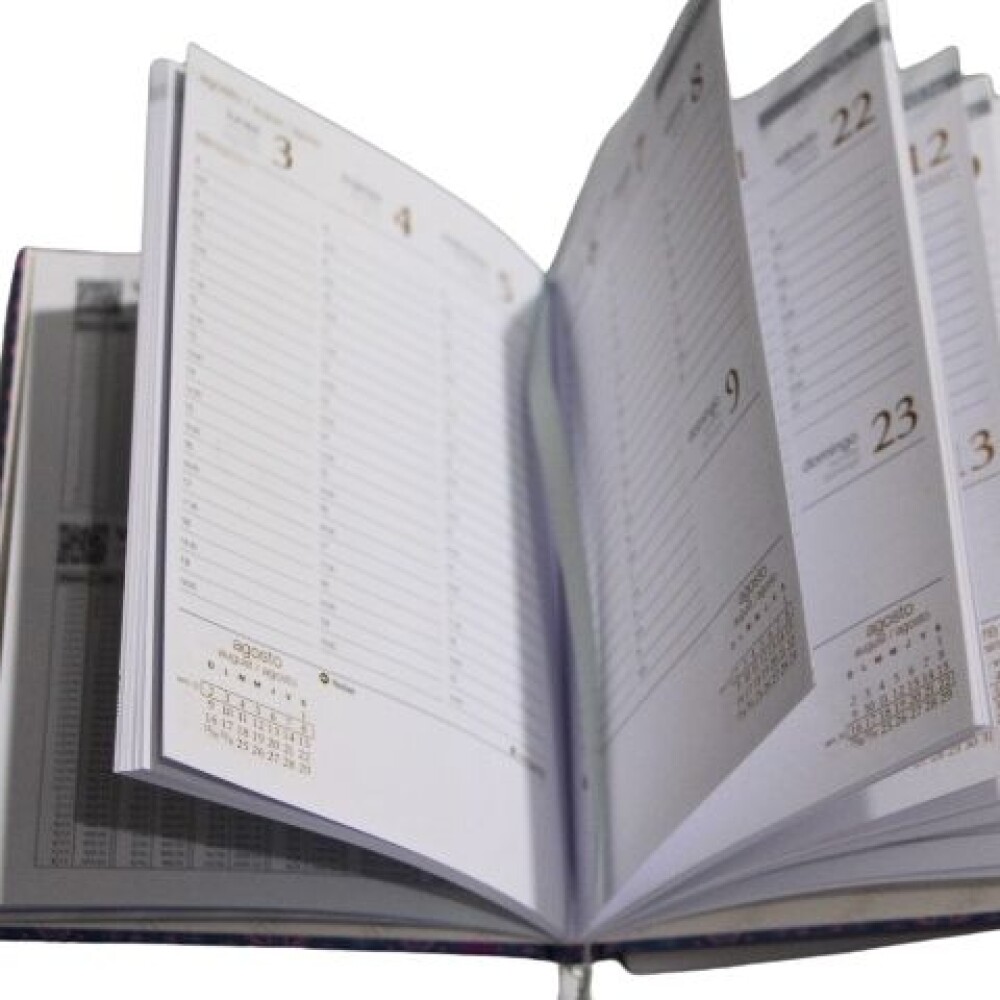 AGENDA REMEMBER SENIOR 1470 TAPA CELESTE ROSADO