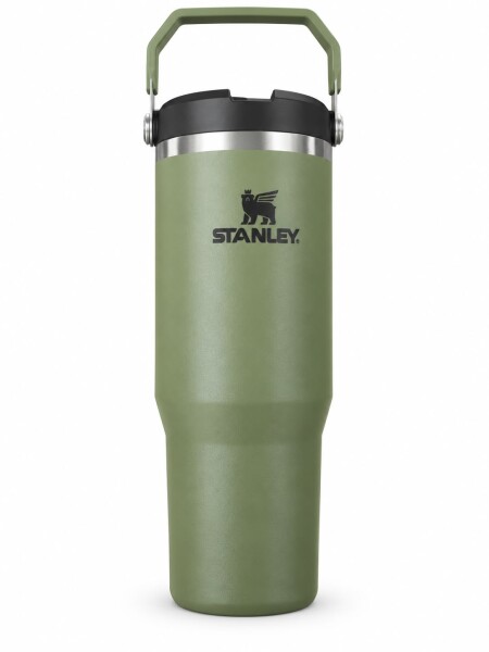 Botella FLIP STRAW TUMBLER Verde