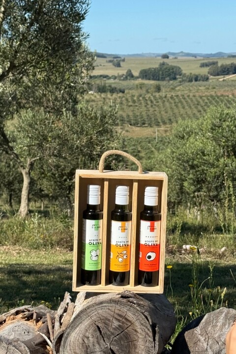 Caja de Madera x3 Varietales Caja de Madera x3 Varietales
